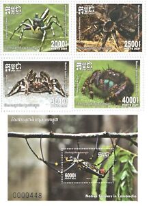 2021 Native Spiders in Cambodia 1 Set and Souvenir Sheet 6000 Riel (MNH)