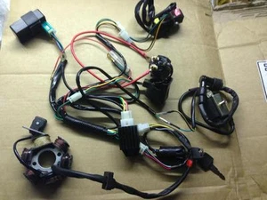 NEU KABELBAUM ELEKTRISCHER START + STATORPLATTE PIT BIKE QUAD AFFE FAHRRAD - Bild 1 von 1