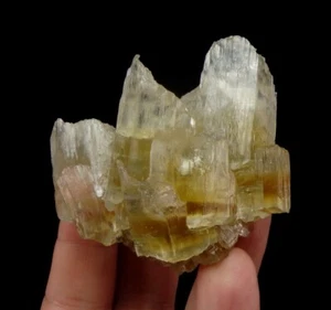 GYPSUM var. SELENITE -- TOP LW FLUORESCENT !!! Poland - Kuyavia - Dobrzyń /ph386 - Picture 1 of 21