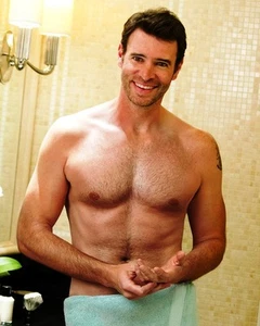 Foto brillante de Scott Foley de 8x10 - Imagen 1 de 1