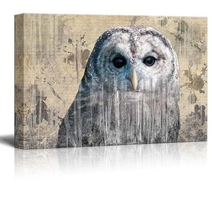 Double Exposure Close Up of a Grey Barred Owl - Canvas Art - 16x24 inches - Picture 1 of 3