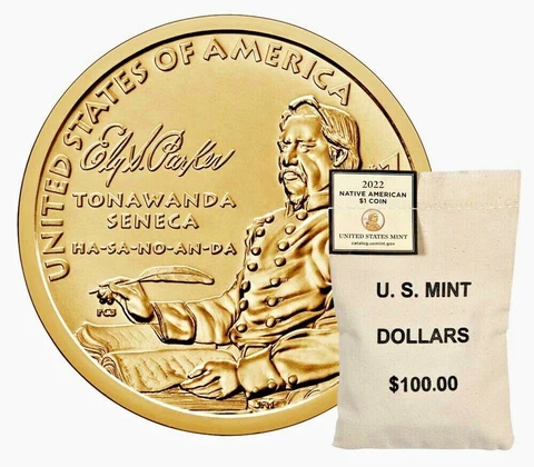 2022 D UNCIRCULATED NATIVE SACAGAWEA AMERICAN GOLDEN $1 DOLLAR COIN Frm MINT BAG Cover