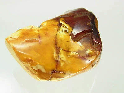 Schöner Butterscotch Egg Yolk Amber Bernstein aus Bernsteinsammlung 41,1 Gramm - Bild 1 von 4