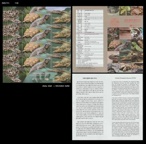 Vida silvestre, especies en peligro de extinción, CITES, reptil, tortuga, cocodrilo, serpiente, Corea 2025 - Imagen 1 de 1