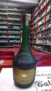 Cognac Gaston de Lagrange Napoleon 40% vol 70 cl con box - Foto 1 di 1