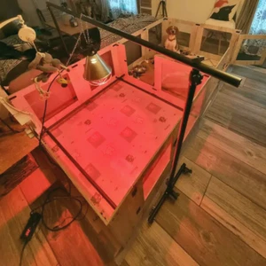 XL Wurfkiste Geburtskiste Welpenkiste Hundewelpenbox Welpenaufzuchtbox Abnehmbar - Bild 1 von 14