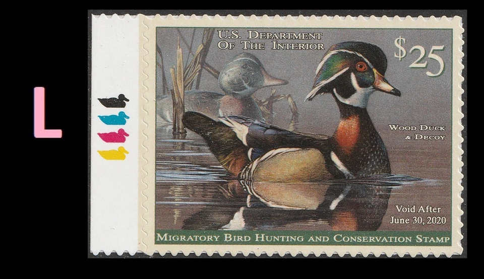 US RW86 Wood Duck $25 color code single L MNH 2019-2020 - Image 1 of 1