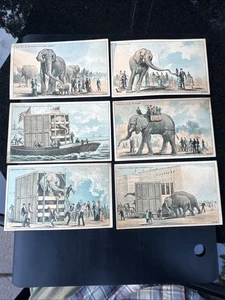 6- “Jumbo on his Journey” Trade Cards- S274 - Picture 1 of 2