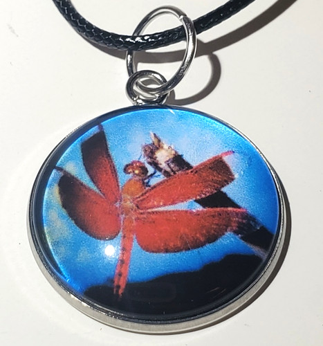 VETEMENTS Collana con ciondolo cabochon libellula rossa vivida su 19 pollici Cavo