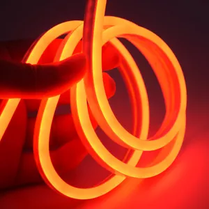 Waterproof Light Lamp Strip Neon 2835 Power Adapter LED Flexible 12V 1M 3M 5M - Picture 1 of 20