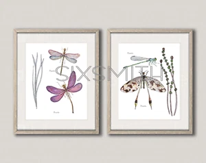 2 Dragonflies Drawings Giclee 8" x 10" Prints - Picture 1 of 3
