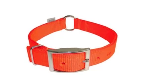 Safety Orange Dog Collar - Picture 1 of 1