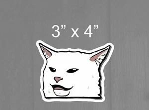 Smudge the cat meme funny lady yelling at cat magnet Vinyl Decal Sticker Car - Picture 1 of 1