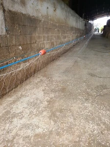 Kiemennetz/Überlebensnetz/Fangnetz für mehrere Arten 150 Fuß lang/4 Zoll Masche/4,5 Fuß hoch - Bild 1 von 4