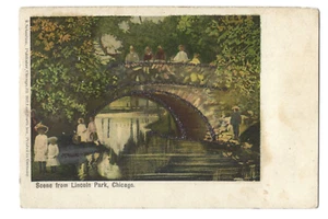 Antique Postcard Scene from Lincoln Park, Chicago IL Undivided Posted 1905 - Picture 1 of 2