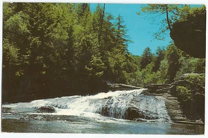 Garrett County MD Swallow Falls Youghiogheny River Vintage Postcard - Picture 1 of 2