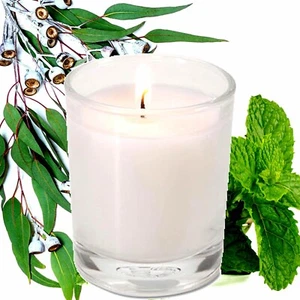 Eucalyptus & Peppermint Scented Votive Candles Fragrance Luxury Hand Poured - Picture 1 of 25