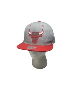 Chicago Bulls Snapback Hat Grey Red Reflective Bull Logo Mitchell & Ness 2015 - Picture 1 of 10