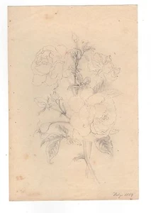 Mary Priscilla Wilson Smith Pencil Flower Study Roses February 1869 - Picture 1 of 1