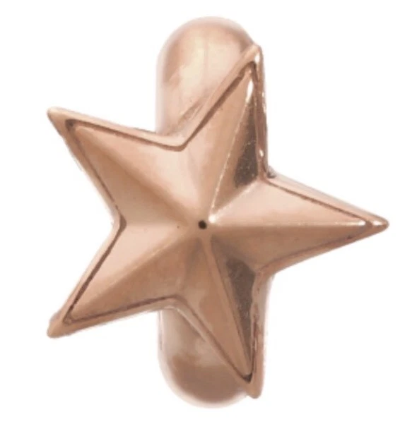JLO By Endless Jewelry Charm Rising Star Rose Gold Plated Sterling Silver #2525 - Image 1 of 1