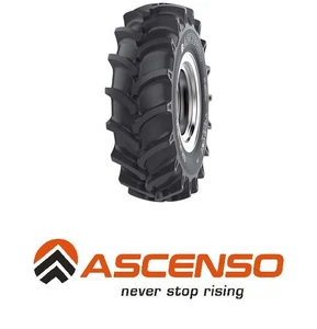 Ascenso TDB121 6.00 -14 66A6 4PR TT - Bild 1 von 1