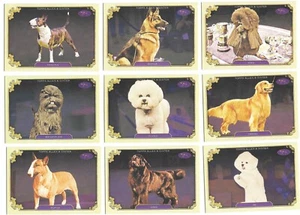 2024 Topps Allen & Ginter Best in Show Westminster Kennel Club Complete Your Set - Picture 1 of 41