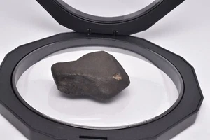 CONDRITA WILUNA METEORITO H5, CAÍDA 1967. 61,7 gramos, Australia Occidental MT43 - Imagen 1 de 10