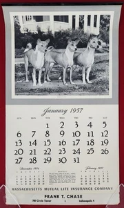 Wandkalender 1957 MassMutual 12 Hunderassen Basenji Staffordshire Puli Pyrenäen - Bild 1 von 24