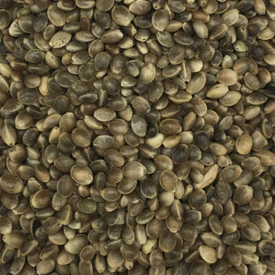 Gladen - Hanfsaat mittel 1A Qualität - 2,5kg Tierfutter - Bild 1 von 2