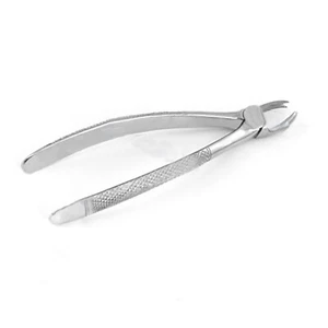 Dental Tooth Extraction Forceps 65L Dentist Lab Tools Stainless Steel - Bild 1 von 2