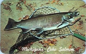 Postal Coho Salmon Michigan 32525-C sin publicar - Imagen 1 de 2