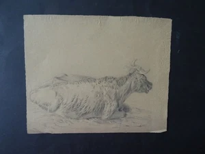 DUTCH SCHOOL 19thC - STUDY RESTING COW - FINE CHARCOAL DRAWING - Picture 1 of 15