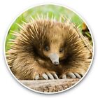 2 x Vinyl Stickers 20cm  - Echidna Animal Australia Wild  #44934