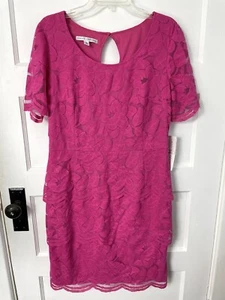 Maggy London Pink Fuschia Dress Lace Lined Size 14 Drop Waist Short Sleeve New - Picture 1 of 5