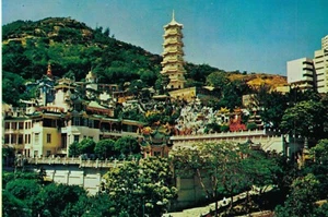 Postal de colección de jardines de tigres de Hong Kong BS.05 - Imagen 1 de 2