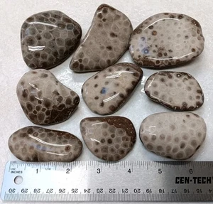 9 einseitige Petoskey-Steine 1 Pfund 13,3 Unzen unpoliert Basteln Posten Michigan-Fossilien - Bild 1 von 5