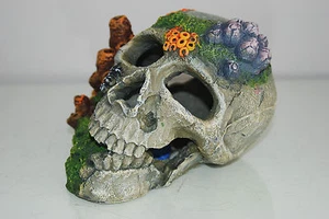 Aquarium Detailliert Alt Pirat Totenkopf Überreste & Koralle Deko 18x15x13 CM + - Bild 1 von 8
