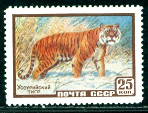1959 Sibirischer Tiger / Panthera tigris altaica, wilde Tiere, Russland, 2275, MNH - Bild 1 von 1