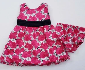 Hartstrings Baby Girl Dress Size 18 Months Pink Rose Floral Dress w/ Hearts - Picture 1 of 8