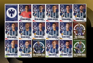 Pegatinas CF Monterrey Panini Copa Mundial de Clubes de la FIFA 2025 - Imagen 1 de 1