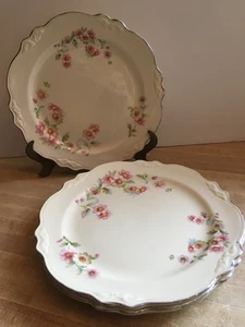 Menge 4 Homer Laughlin Virginia Rose Mittagessen Teller 9 1/4" - Bild 1 von 4