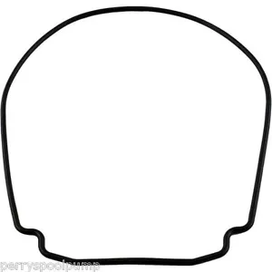 Zodiac Jandy R0555900 OEM Body Gasket Replacement for JHP Series Pump Hydrostar - Picture 1 of 1