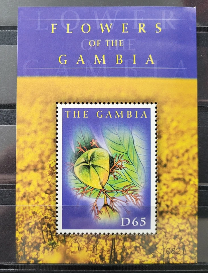 Gambia 2008 / Flores de Gambia - Gran Duckweed / 1v ms  Foto 1 de 1