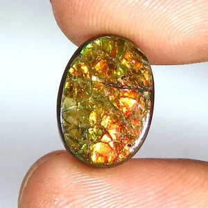 natural AMMOLITE cabochon loose gemstone 7.10 Cts. (10 x 13 x 3 mm) oval shape - Picture 1 of 7