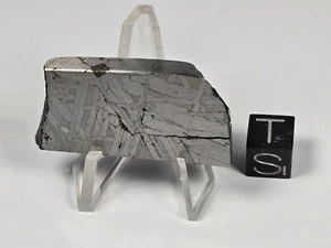 Uruachic Iron IIIAB Found 1989 Chihuahua, Mexico 34.7 g - Picture 1 of 5