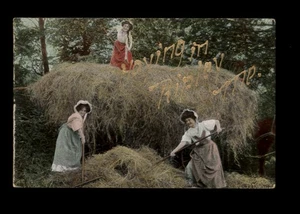 1909 RIPLEY MAINE - Ladies Loading Hay HAYING IN RIPLEY ME. posted message stamp - Picture 1 of 4