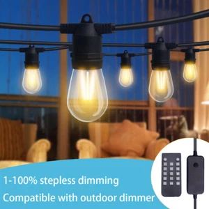 20-60M Dimmable LED Festoon String Lights Kit Outdoor Xmas Wedding Lamp w/Remote - Picture 1 of 14