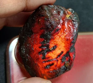 87.45 Ct Natural Honey Baltic Amber Untreated Specimen Certified Rough Gemstone - Picture 1 of 10