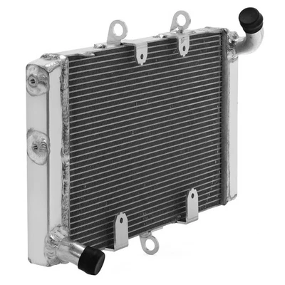 Aluminum    Cooler Radiator For Honda CB1000R 2021 2022 2023 2024 CB1000 R Foto 1 de 4