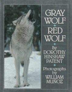 GRAY WOLF/ RED WOLF BY DOROTHY HINSHAW PATENT, 1990 (DUST JACKET) - Bild 1 von 1